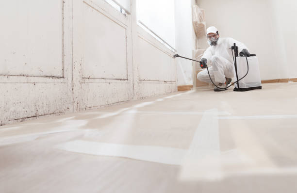 24/7 Emergency Mold Remediation experts in Middletown, NY